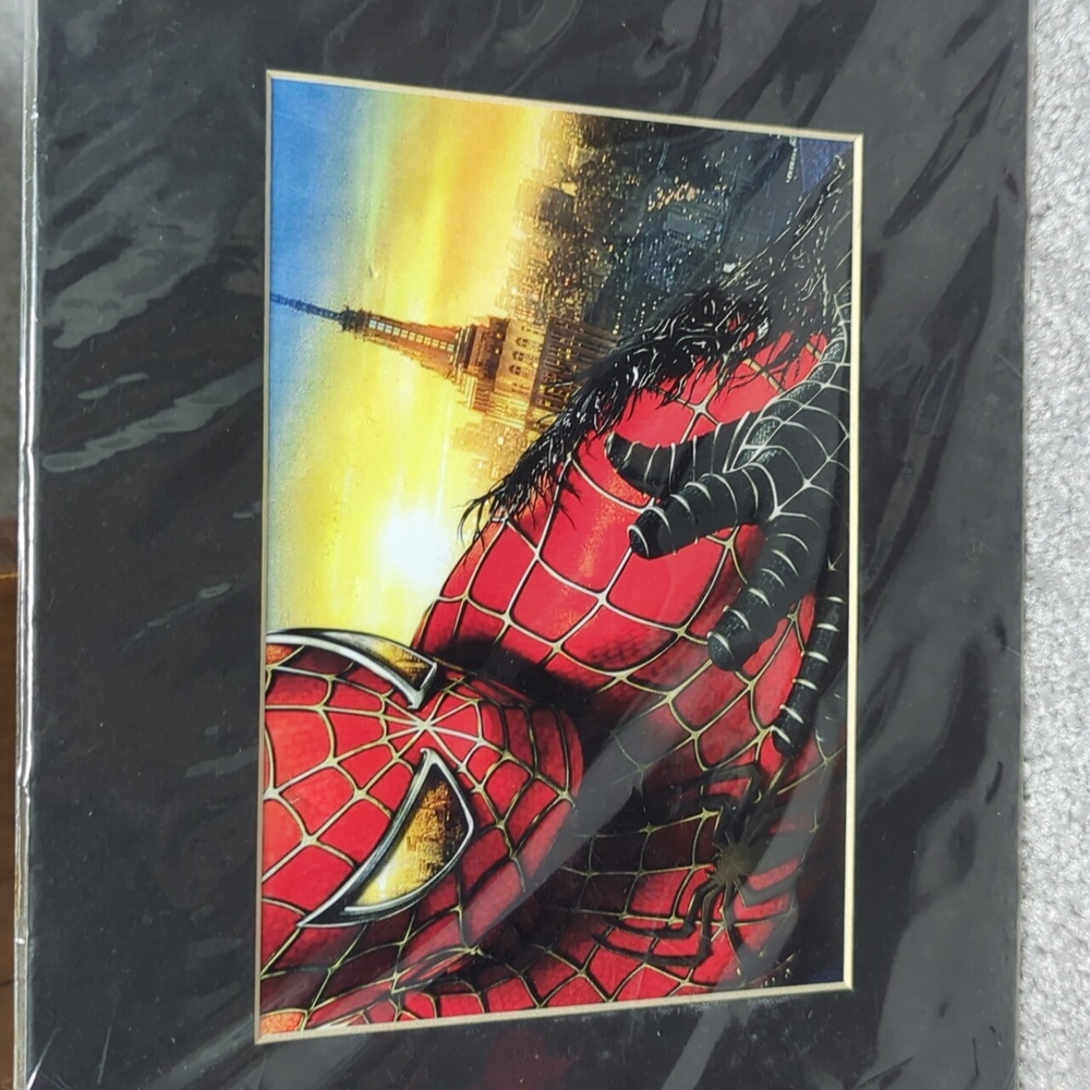 Nwot- 8x10 black matted  picture of Spider-Man. Spiderman 3.